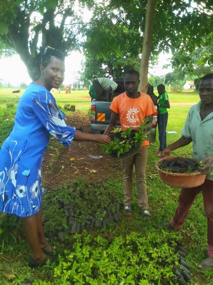 Volunteers planting trees